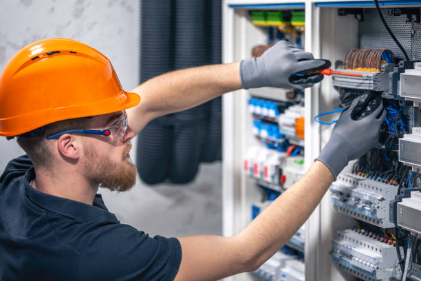 Best Generator Installation Services  in Roxana, IL