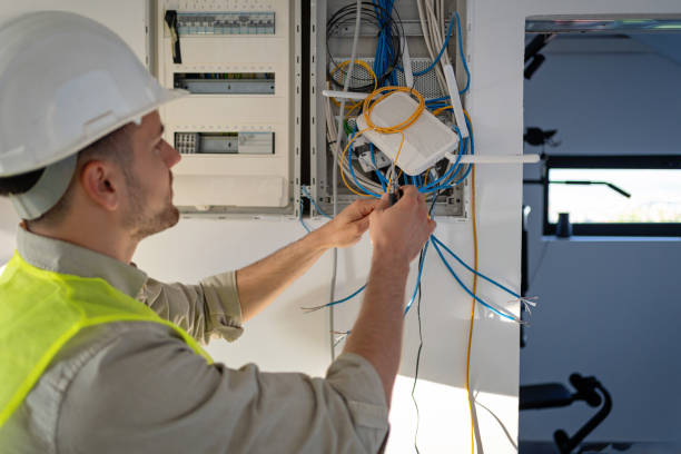 Best Electric Panel Repair  in Roxana, IL
